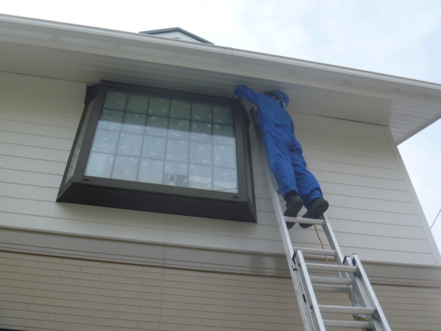 出窓上部への防鳥スパイク取付け施工
